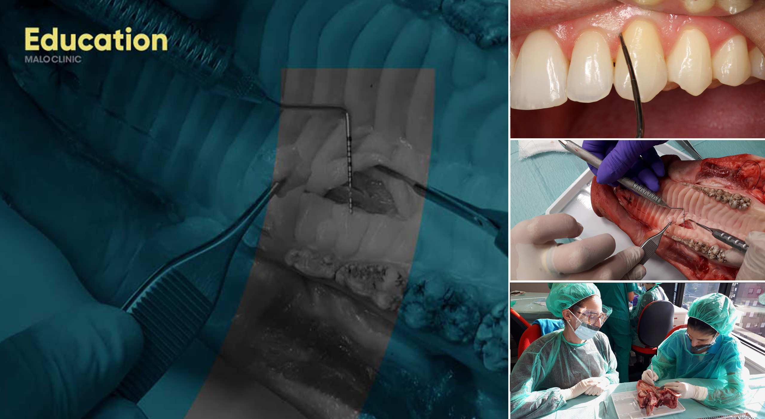 periodontologia-cover-10