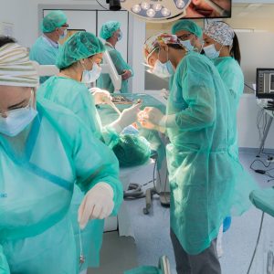 Fotos_Curso_Ao4_Hiskill-00239