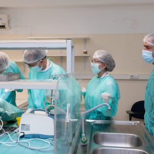 Fotos_Curso_Cadaver_07_24-03889