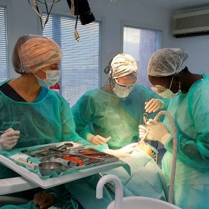 Fotos_Curso_Pterigoides_Nov23-094906