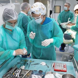 Fotos_Curso_Pterigoides_Nov23-110201