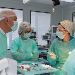 Fotos_CursoDigital_06-03168